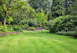 Optimiser l'expérience du jardin à Lesseux