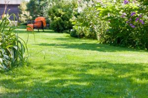 travaux jardin et paysage Lesseux